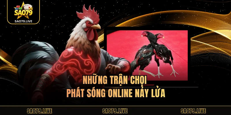 Đá Gà Sao79 - Hấp Dẫn Với Đa Dạng Trận Chọi Kịch Tính Những trận chọi phát sóng online nảy lửa